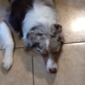 Meet your Posher, Caleb